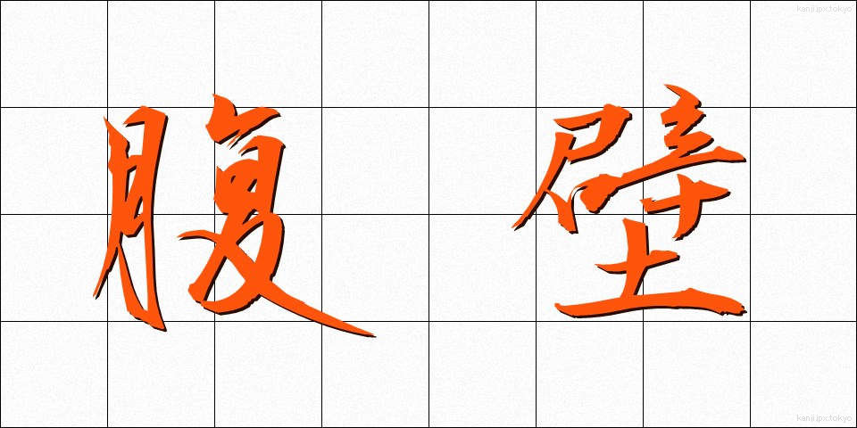 腹壁 (ふくへき)