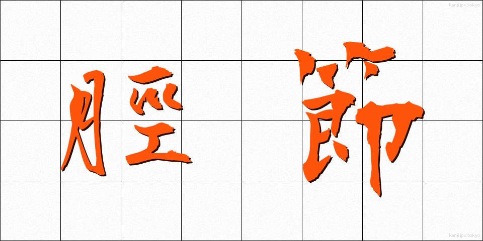 脛節 (けいせつ)