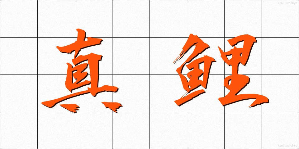 真鯉 (まごい)