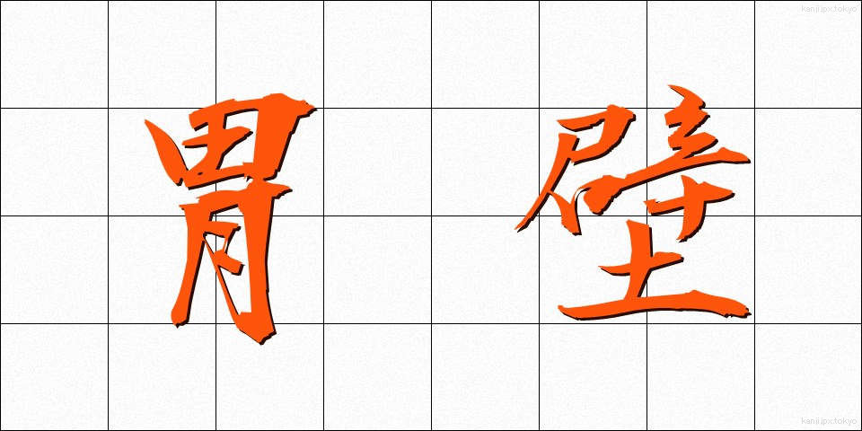 胃壁 (いへき)