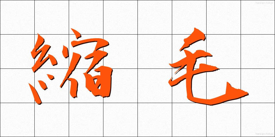 縮毛 (しゅくもう)