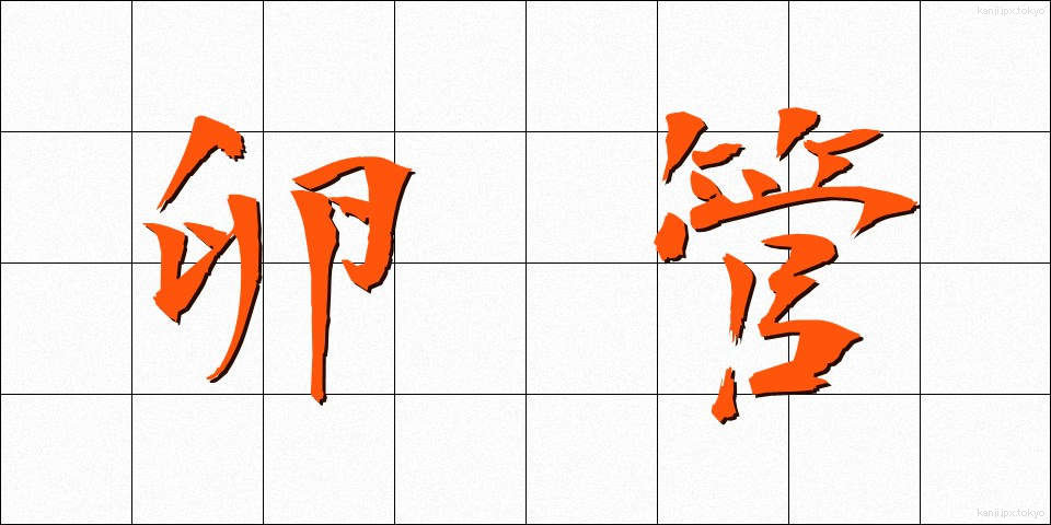 卵管 (らんかん)