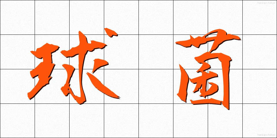 球菌 (きゅうきん)