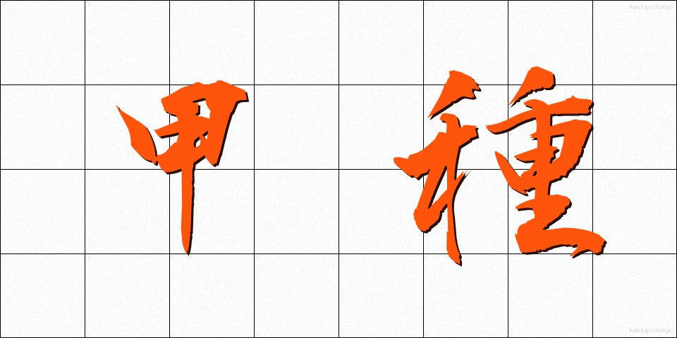 甲種 (こうしゅ)