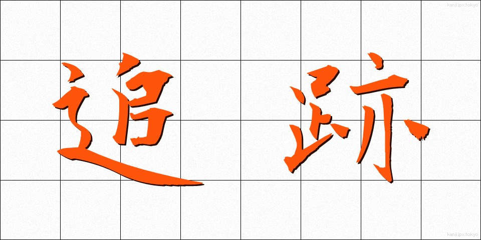 追跡 (ついせき)