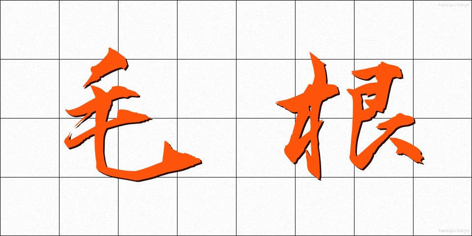 毛根 (もうこん)