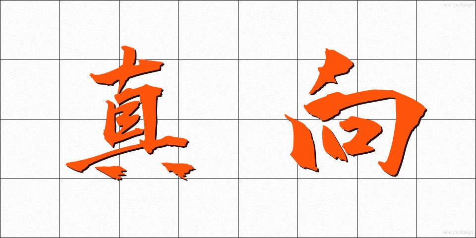 真向 (まっこう)
