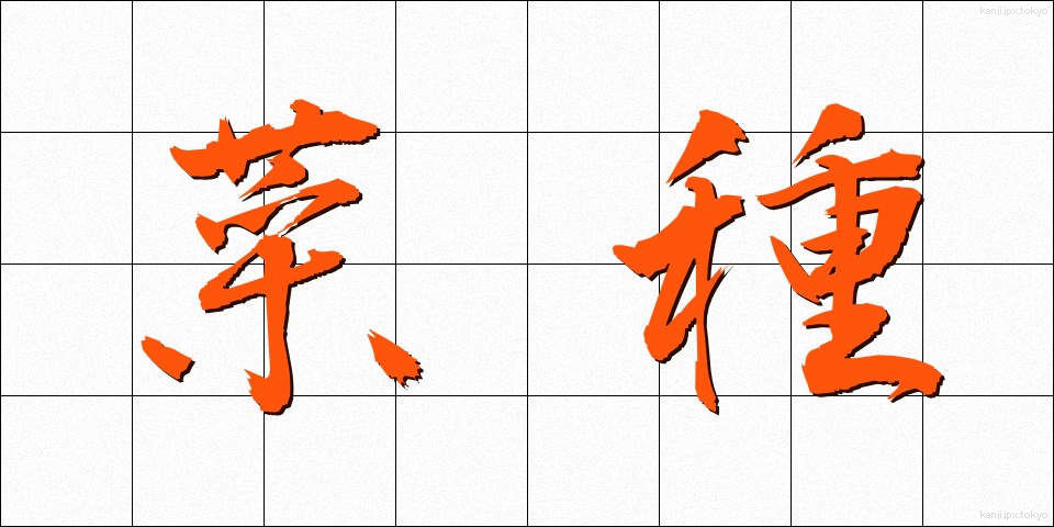 菜種 (なたね)