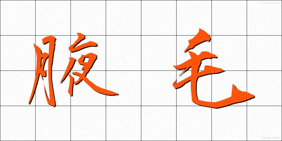 腋毛 (えきもう)