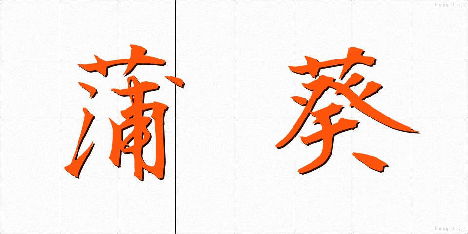 蒲葵 (ぶき)