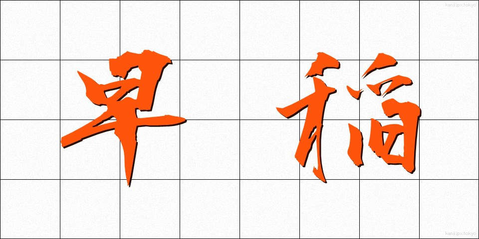 早稲 (わせ)