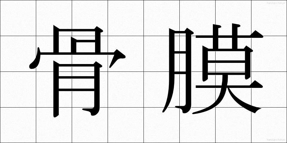 骨膜 (こつまく)