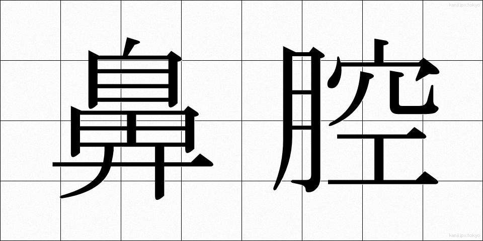 鼻腔 (びこう)