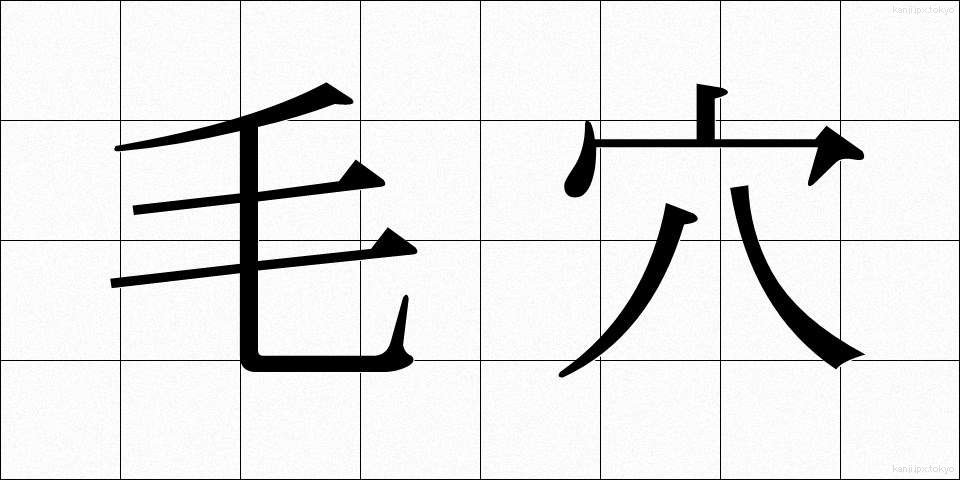 毛穴 (けあな)