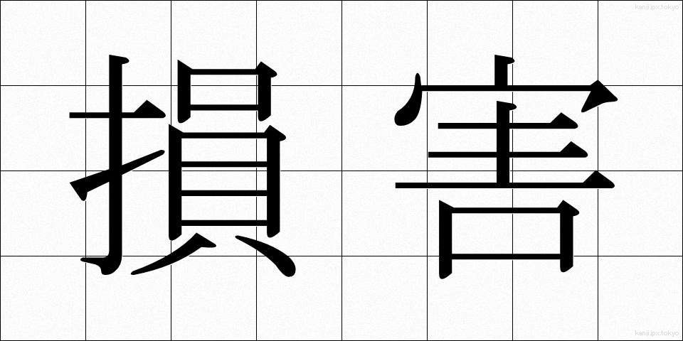 損害 (そんがい)