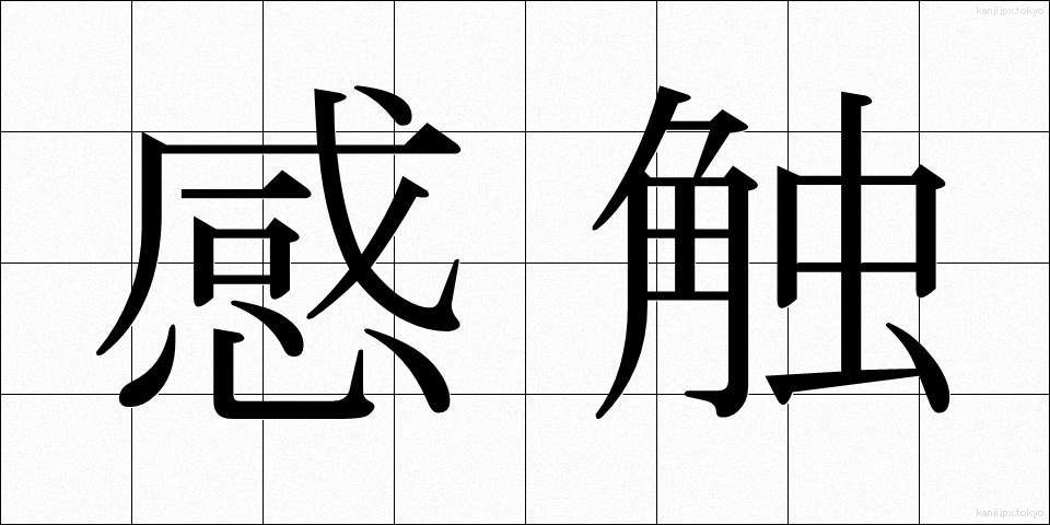 感触 (かんしょく)