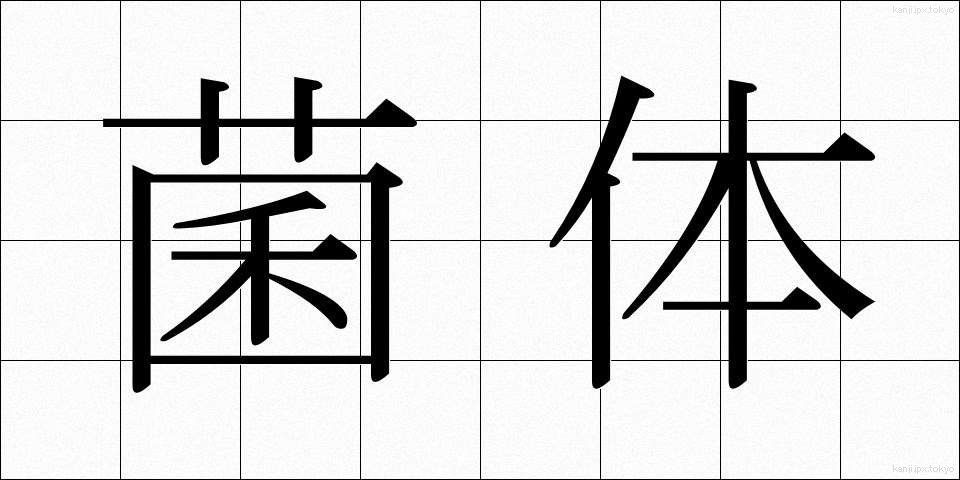菌体 (きんたい)