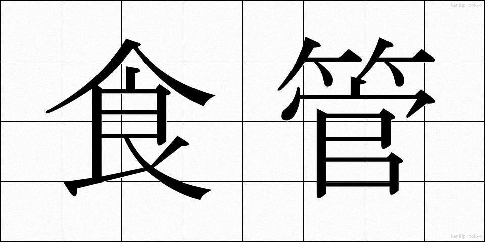 食管 (しょっかん)
