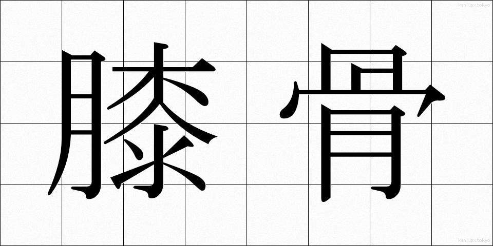 膝骨 (しっこつ)