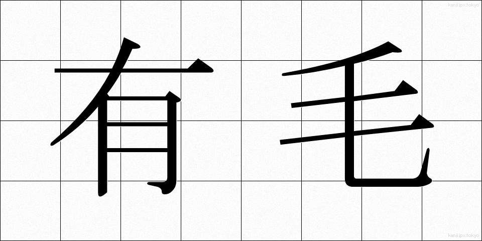 有毛 (ゆうもう)