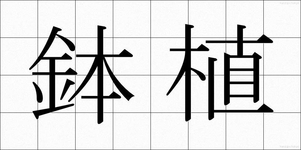 鉢植 (はちうえ)