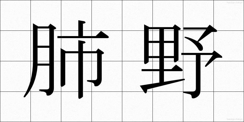 肺野 (はいや)