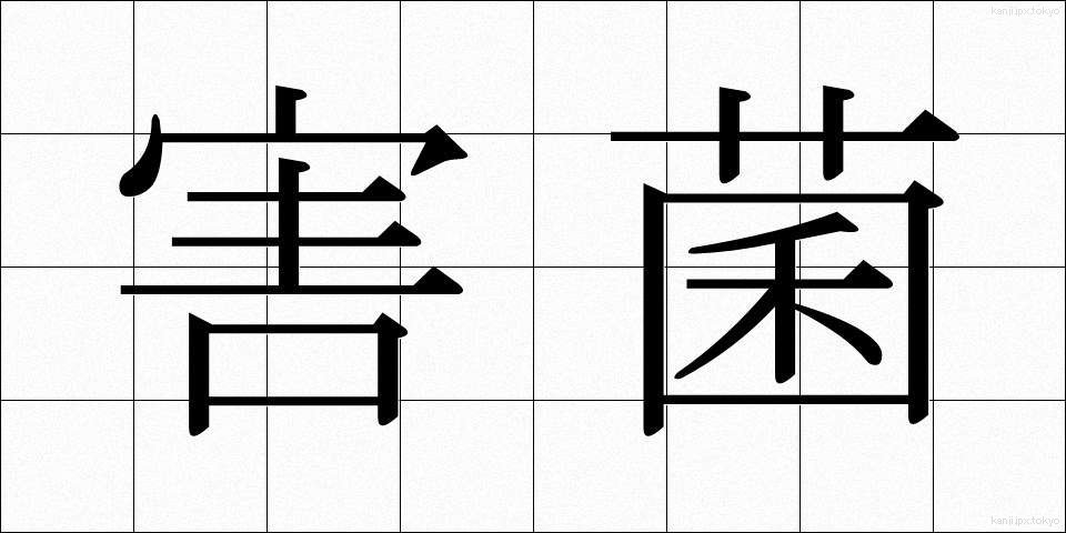害菌 (がいきん)