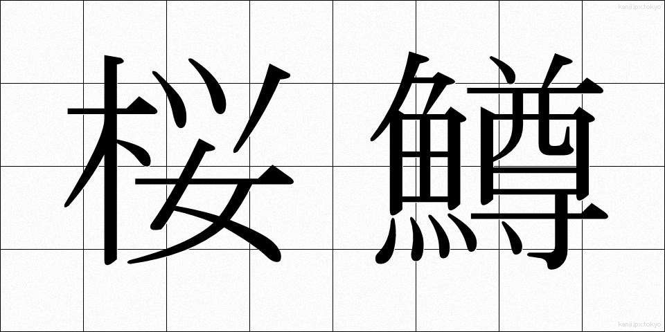 桜鱒 (さくらます)