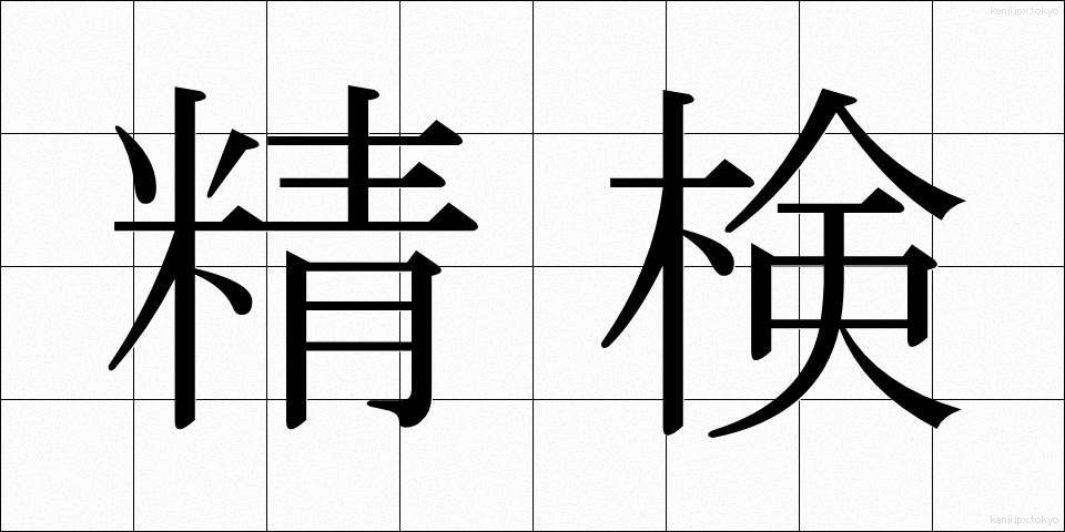 精検 (せいけん)