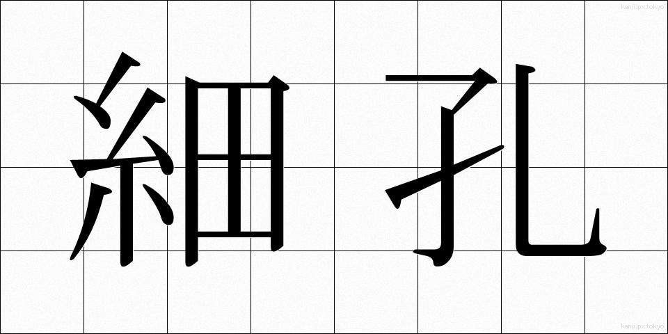 細孔 (さいこう)