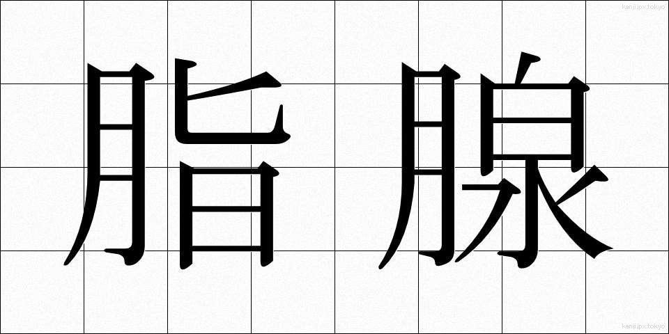 脂腺 (しせん)