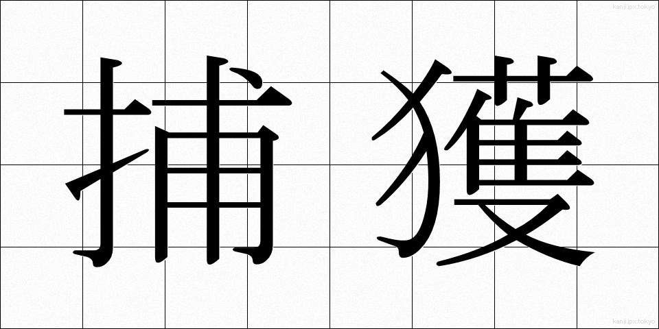 捕獲 (ほかく)
