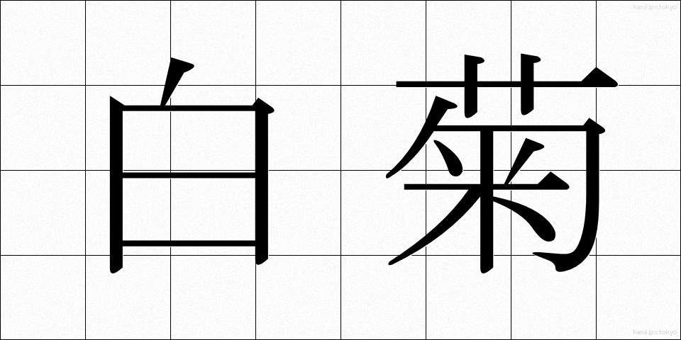 白菊 (しらぎく)