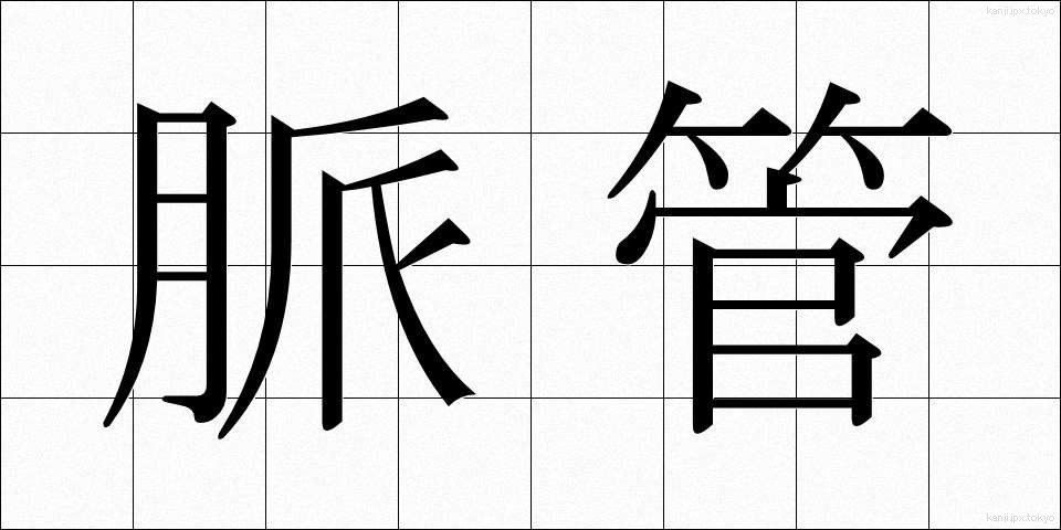 脈管 (みゃくかん)