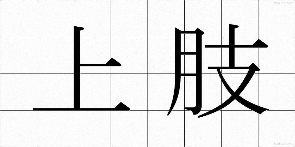 上肢 (じょうし)