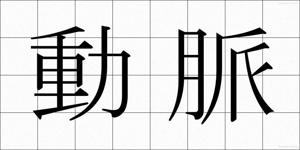 動脈 (どうみゃく)