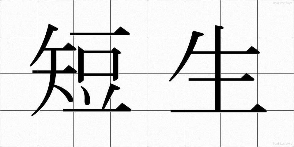 短生 (たんせい)