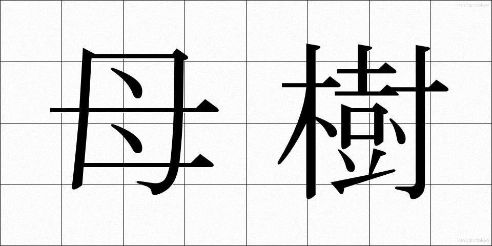 母樹 (ぼじゅ)