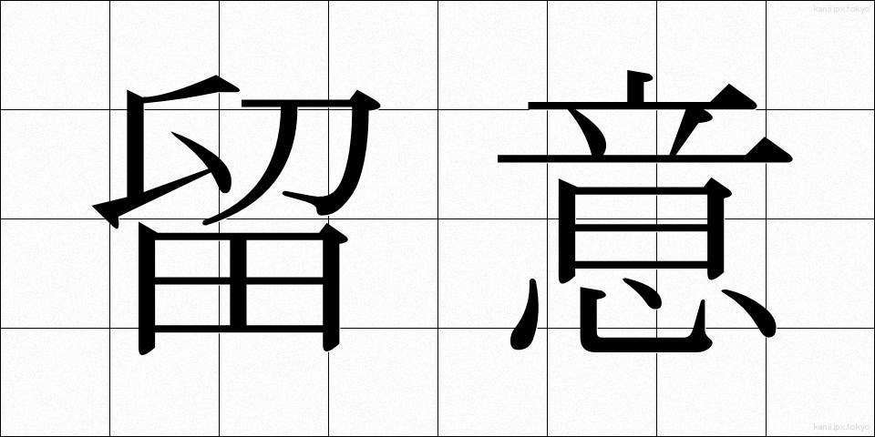 留意 (りゅうい)