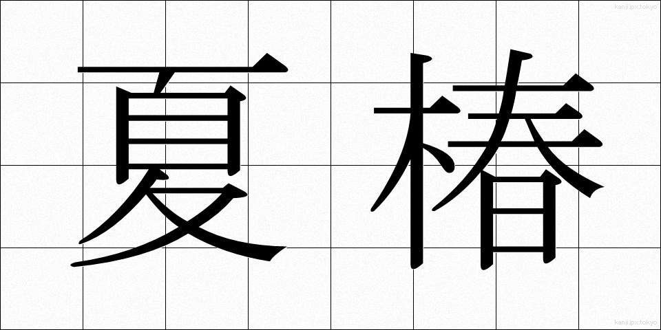 夏椿 (なつつばき)