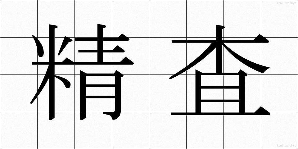 精査 (せいさ)