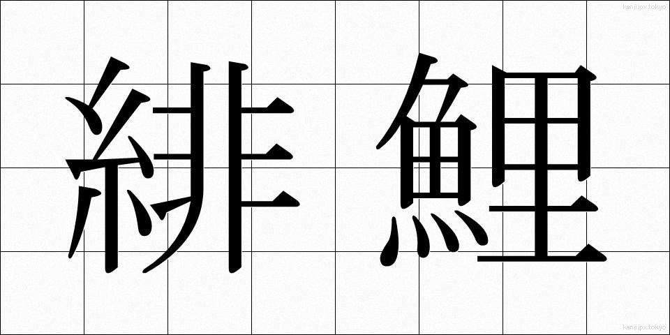 緋鯉 (ひごい)