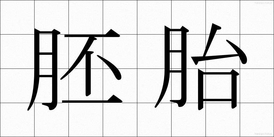 胚胎 (はいたい)