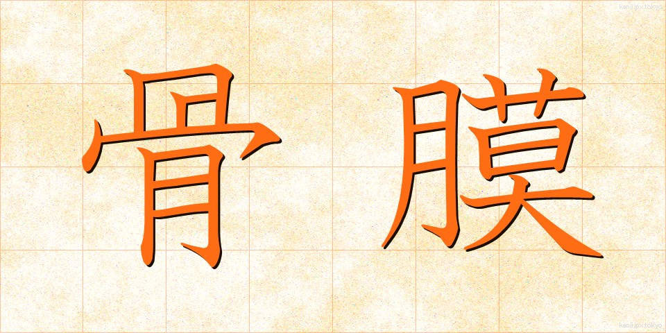 骨膜 (こつまく)