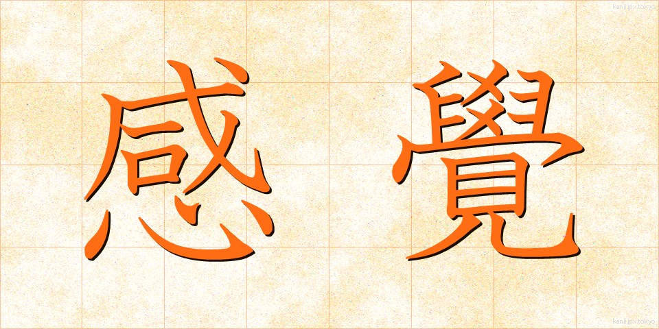 感覺 (かんかく)