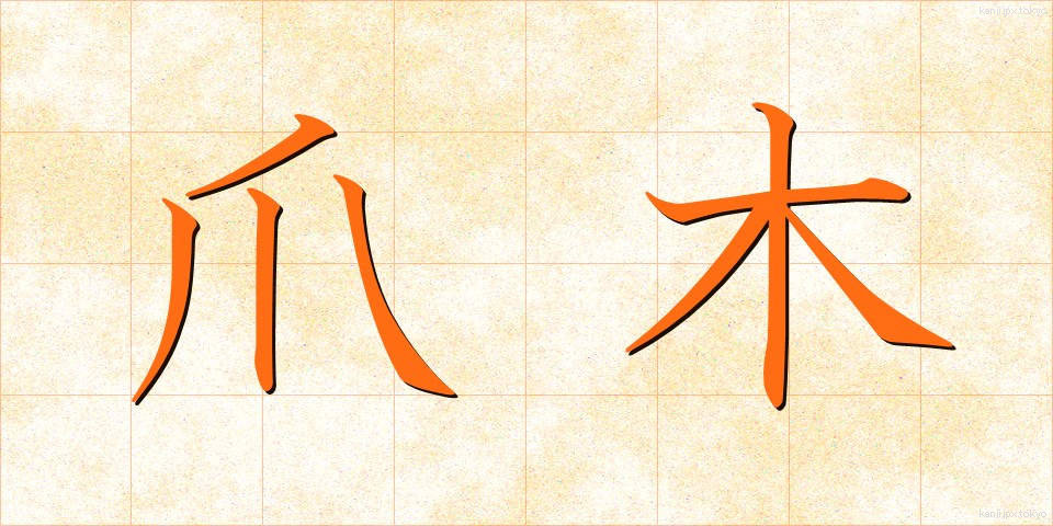 爪木 (つめぎ)