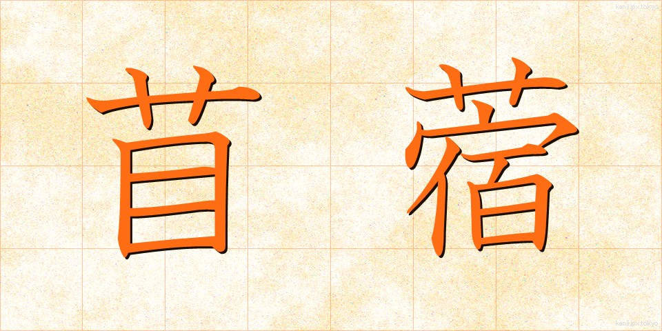 苜蓿 (うまごやし)