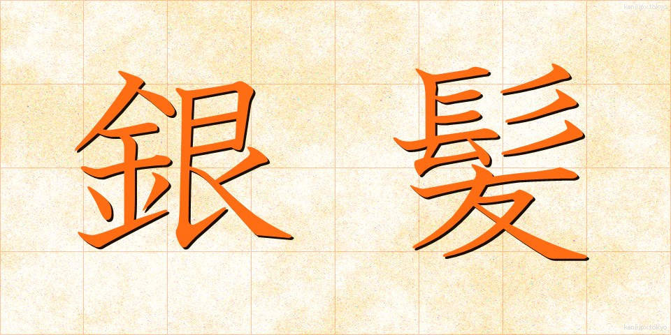 銀髪 (ぎんぱつ)