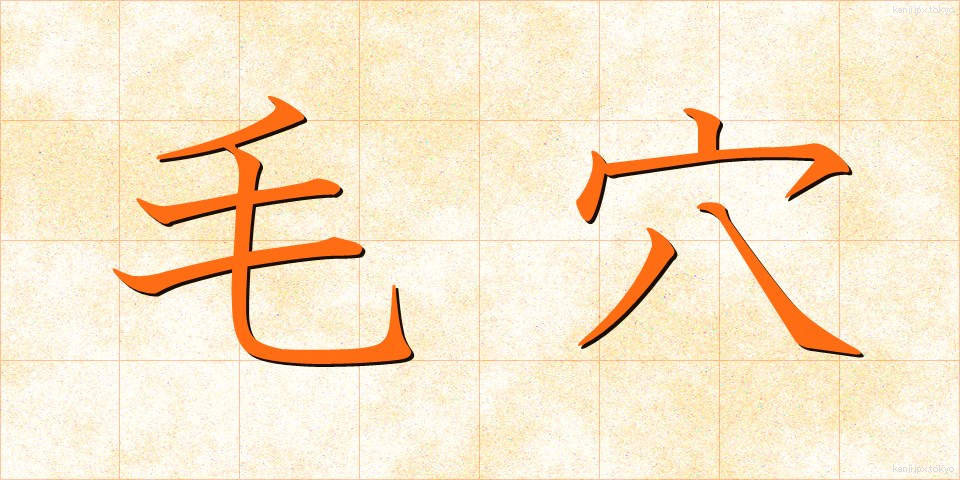 毛穴 (けあな)