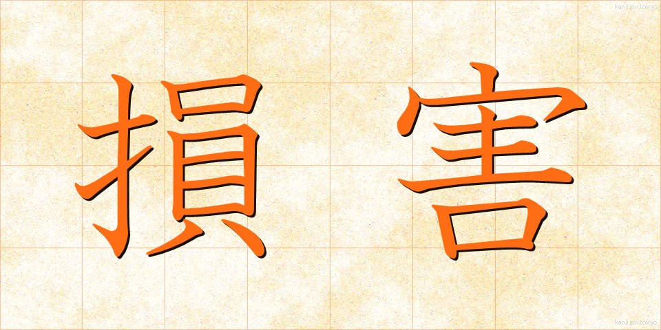損害 (そんがい)